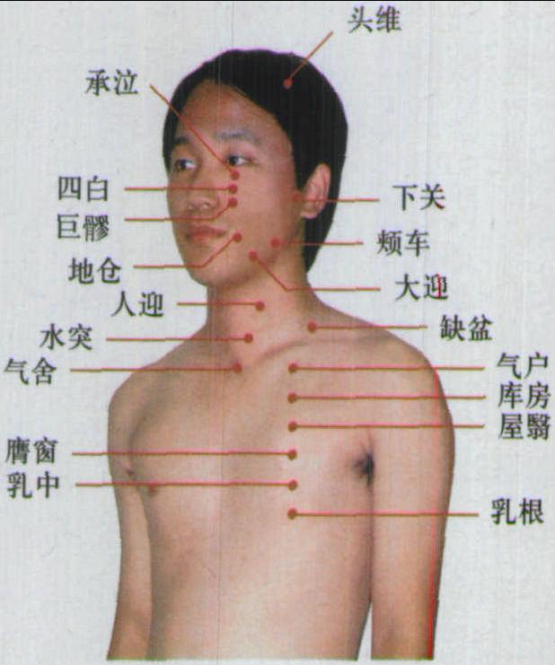 三、足陽(yáng)明胃經(jīng)穴